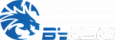 Bykski